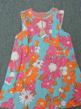 Pink Chicken Charlotte Dress NWT